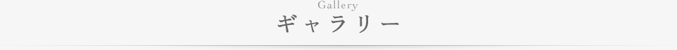 ギャラリー